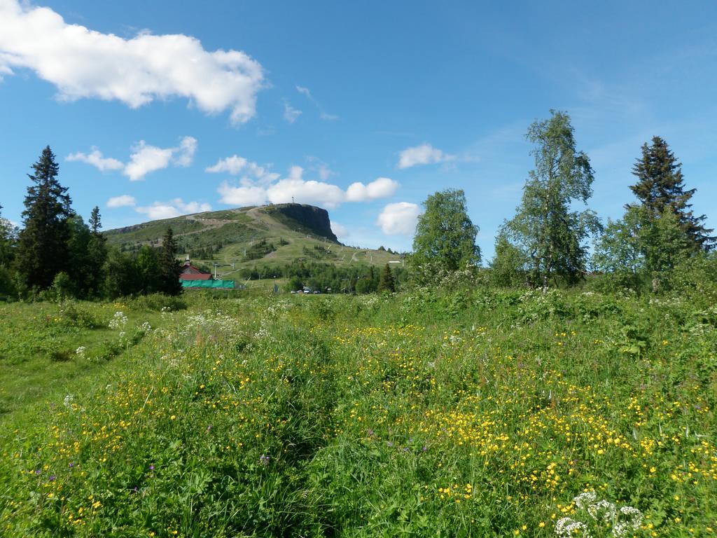 Skei Apartments Svingvoll Екстер'єр фото